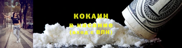 стаф Касимов