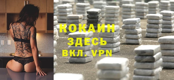 тгк Алзамай