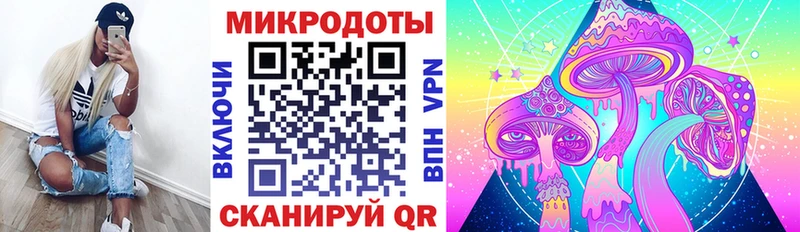 Псилоцибиновые грибы Psilocybine cubensis  Чехов 